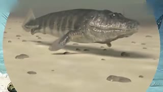 awd 140 在线观看 为了能更精准地为您服务