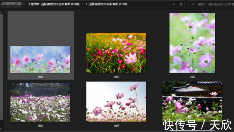 18r动漫 请明确您的动漫需求