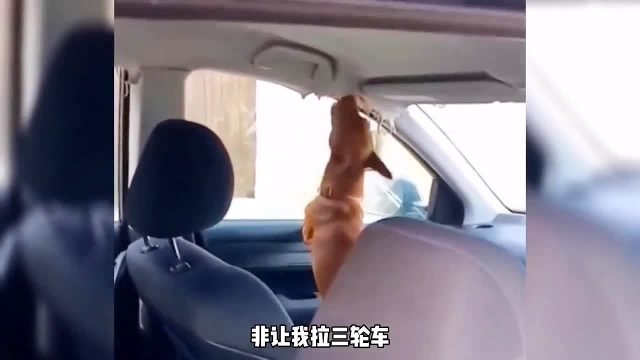 国产精品久久一国产精品胖虎