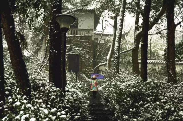 广州魔女豆 广州可以补充更多线索