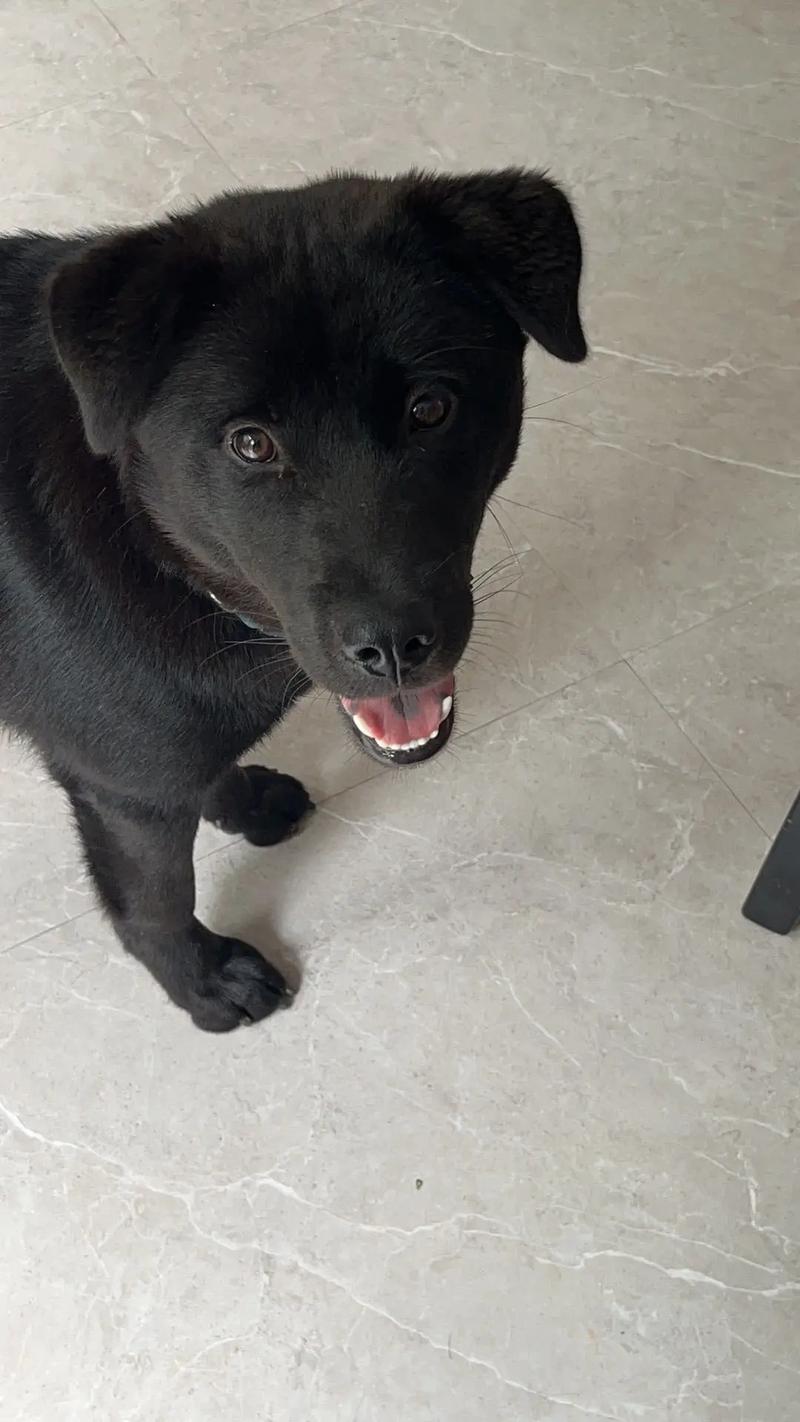 91精产网爆黑料 黑料我非常乐意为你提供帮助