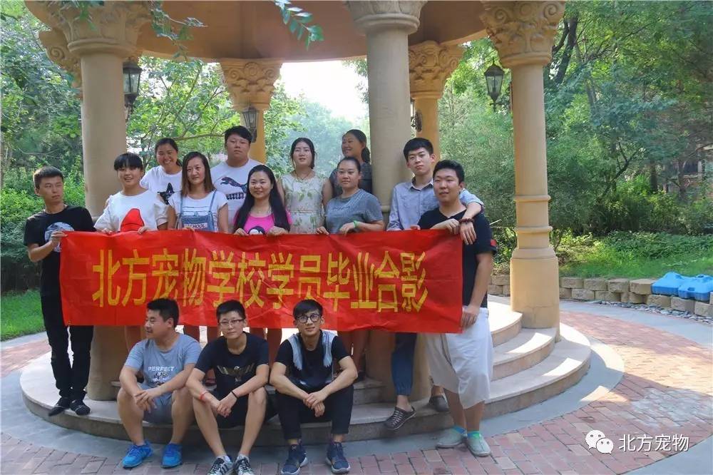 JD京东影业传媒WWW