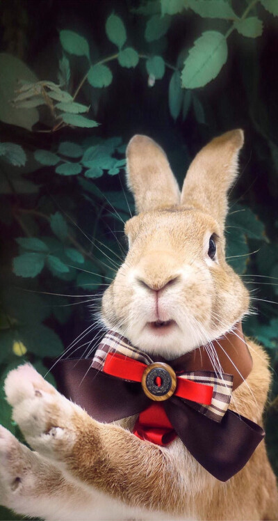 视频hp “HP”常指角色的视频生命值