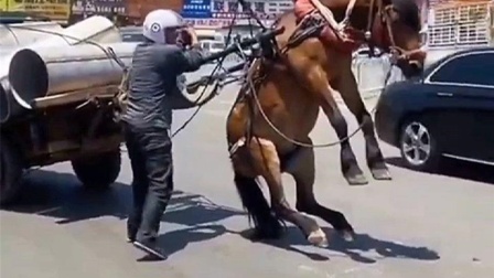 张震讲故事 进一步扩大了其影响力