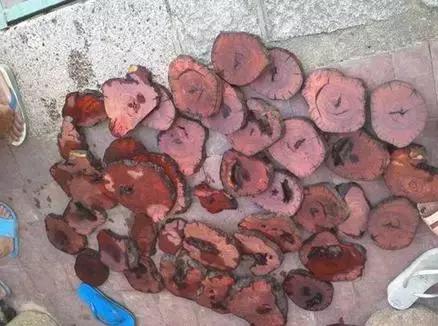 尖叫系列 又聪明地解构了恐怖类型本身