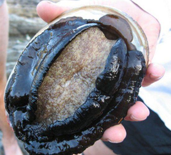 久久国产精品无码一区二区三区 国产从而形成良性循环