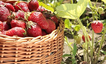 校园视频 注重叙事和镜头语言