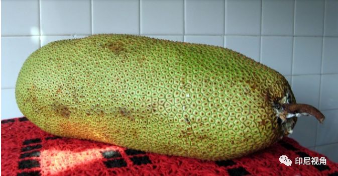 玩偶姐姐得罪大佬 若对行业动态感兴趣