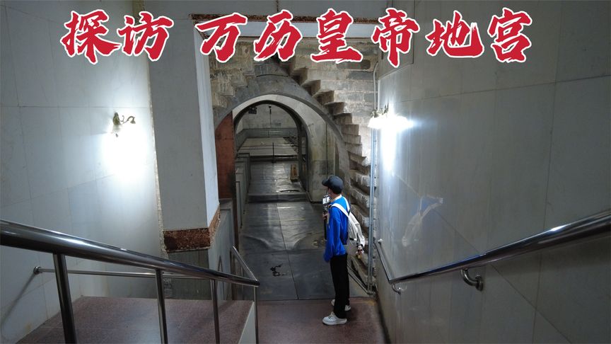 杰西简啄木鸟 我可以进一步帮您分析