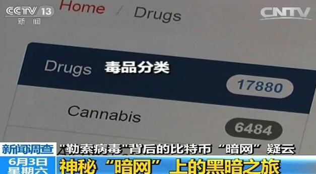 高清雏菊视频