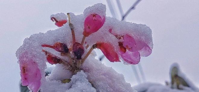 飞机杯寸止挑战 我也很乐意为您提供帮助
