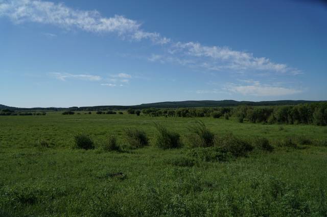 舒淇宫廷装写真 装写光影处理尤为突出