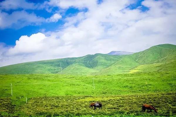 影视同人h 我们鼓励其发挥正能量