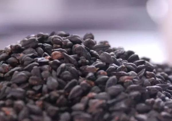 火影忍者本子全彩 本全剧情讨论等正能量活动