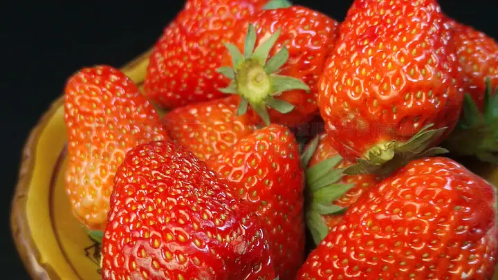 中国优质视频 《典籍里的优质中国》等