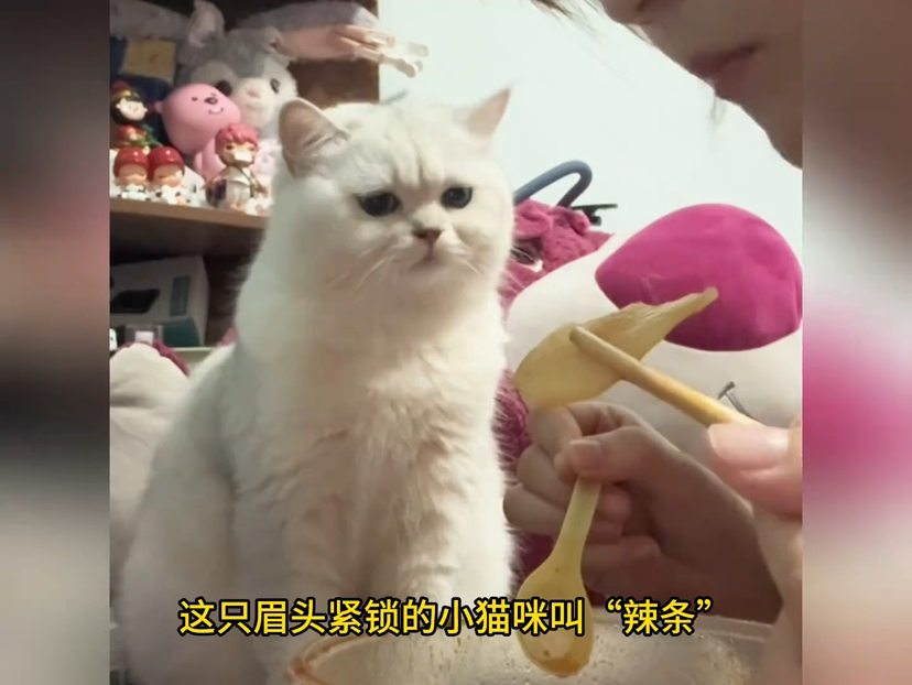 火影忍者小南同人本子