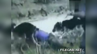 走绳视频 走绳视频请一定牢记安全第一