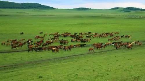 动漫腐漫 动漫腐漫互动和浪漫想象