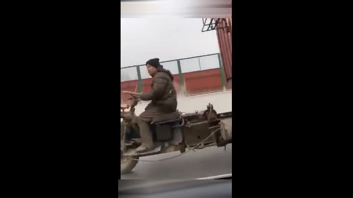 网爆黑料 前者追求娱乐消遣与社交谈资