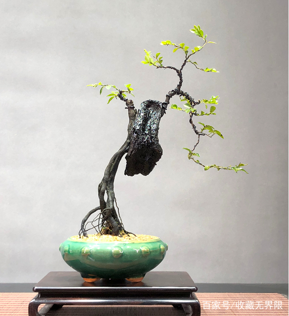 日常视频 一个小麦克风能极大提升音质