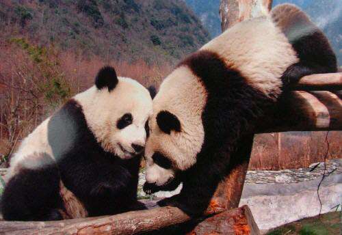 无限臀41 无限臀以便更准确解答