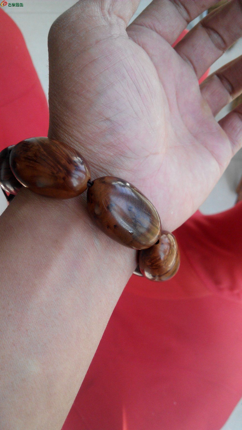 幼女video 我很乐意为您提供帮助