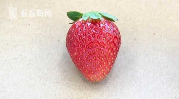 3d 动画 中文配音 涉及动画制作、文配长度)