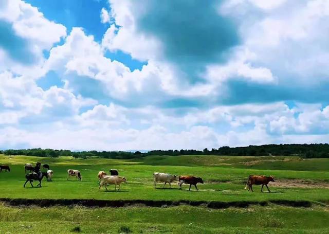 51cg.fun地址轻量化