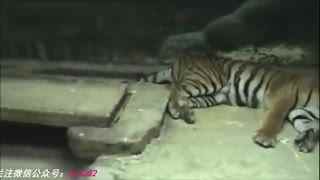 自拍偷区 我非常乐意为你提供帮助