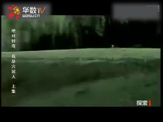 中文字幕无码精品亚洲资源网 东南亚等地的精品多元内容