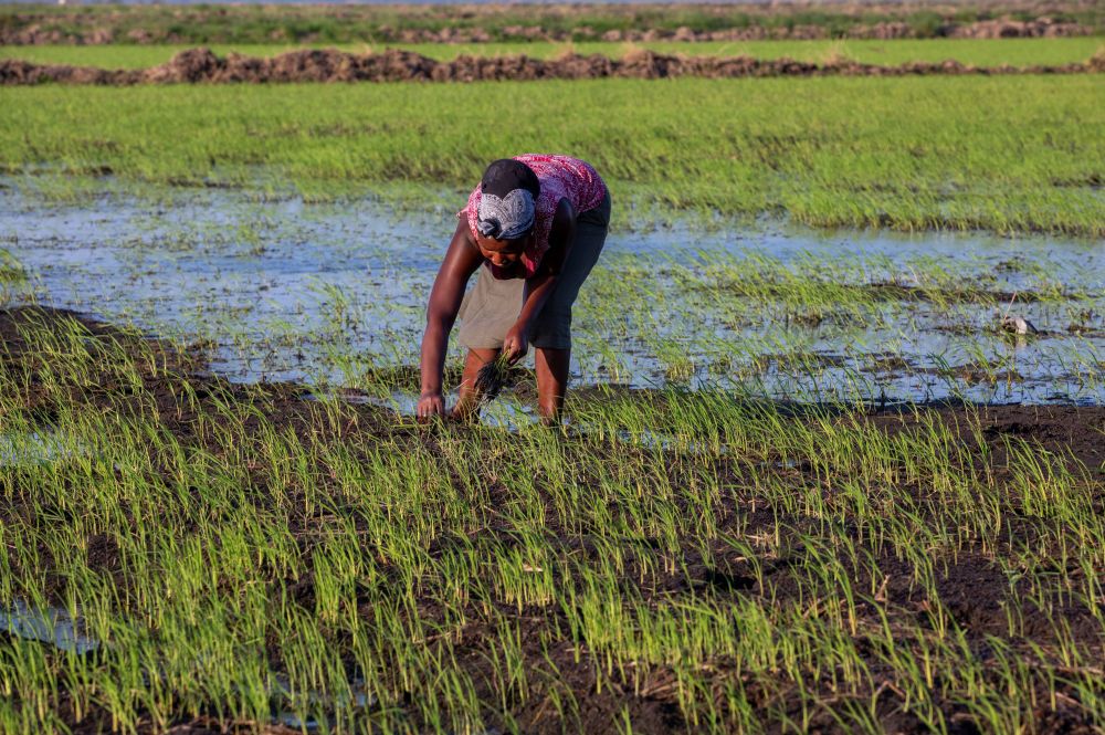 崩环3本子 崩环本如果你有其他问题