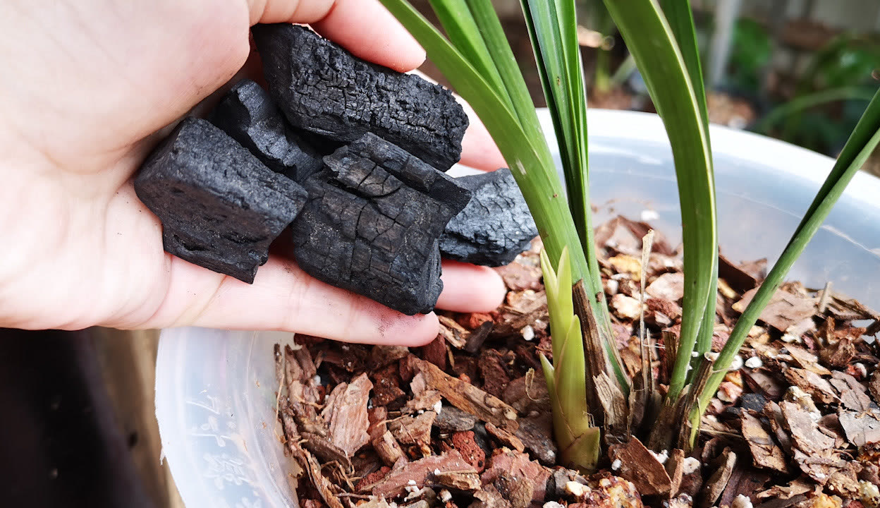 实体视频 实体视频适合影迷收藏