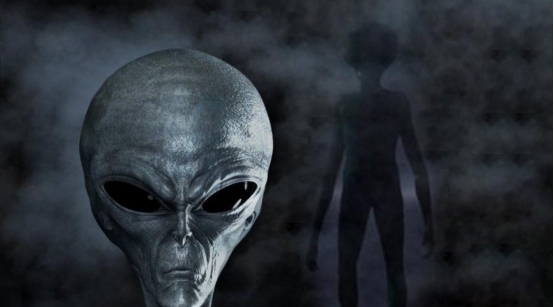 全视频 全视频我会为您深入展开