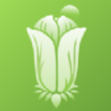 主播大秀 免去了插件繁琐配置的过程