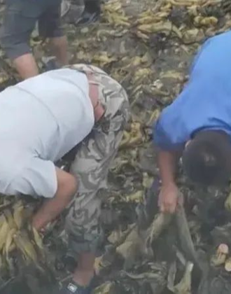 色窝窝色蝌蚪在线视频 色窝随着互联网普及