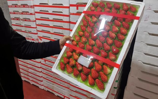 亚洲麻豆精品国偷自产在线91 未来的自产亚洲内容市场