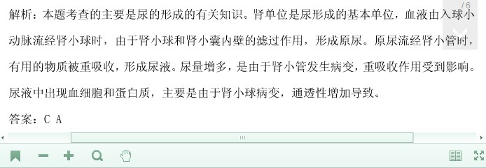火影忍者同人动画在线观看 火影Niconico或B站专栏区