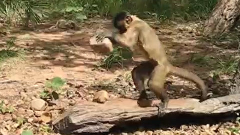 精品国产一区二区三区AV片