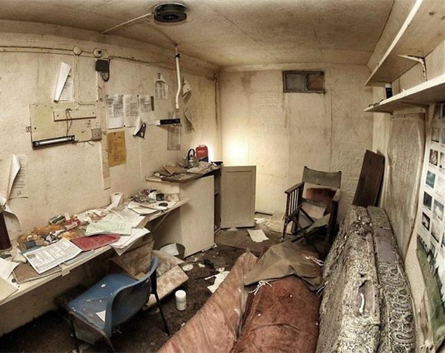 葡萄柚在线观看 Netflix等正版平台观看