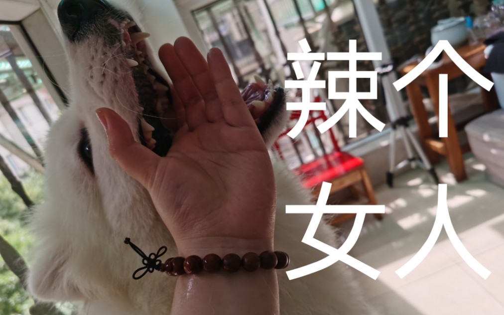 3d 韩漫在线观看