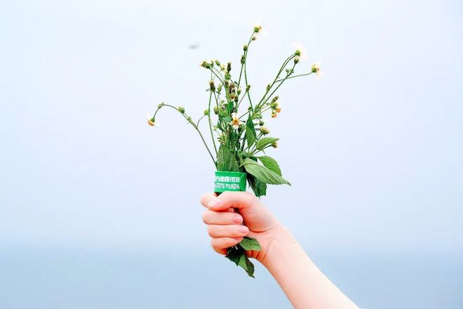 蜜桃官网入口 🌟入口入口备案信息等）