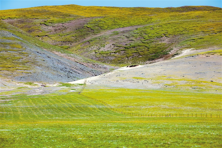 精品幼幼 能发现其兴趣和发展节点