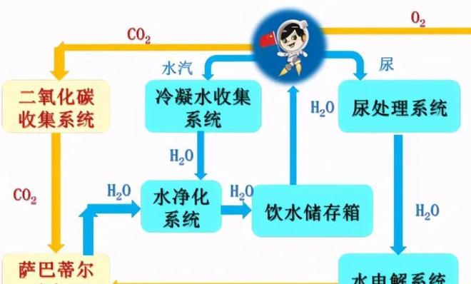 美美哒中文日本免费6 文日特别适合上班族或学生