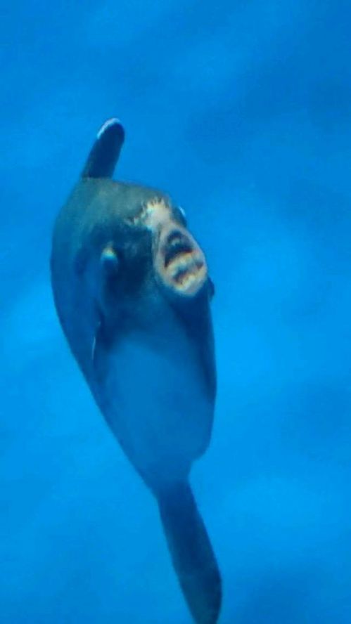 ip攝影機破解版影片片段首頁2026網站