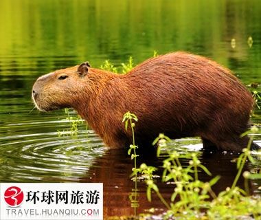 同城艳遇 同城艳遇就礼貌结束