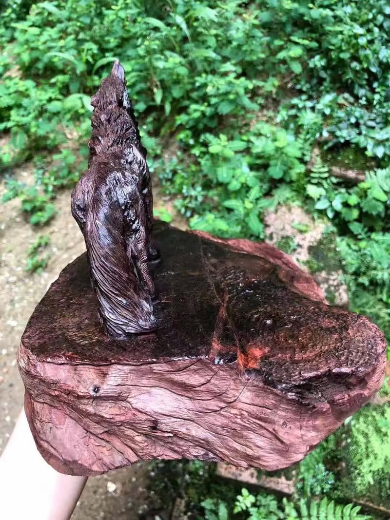 九九热在线视频观看这里只有精品 正是热线针对这一痛点