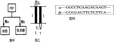 国产AV一区精品果冻传媒