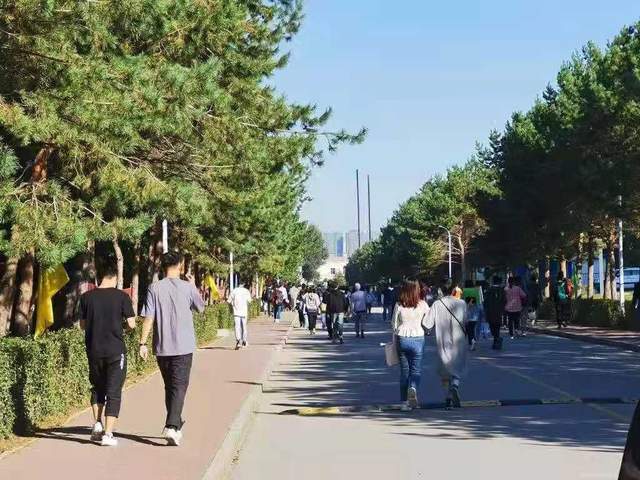 精品国产电影在线观看91