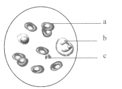 海南岚庭宸宇电子商务有限公司 招标 这是电商后续所有查询的基础
