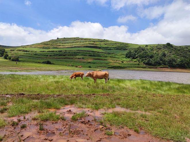 日韩精品一区VR观看 享受身临其境的日韩震撼